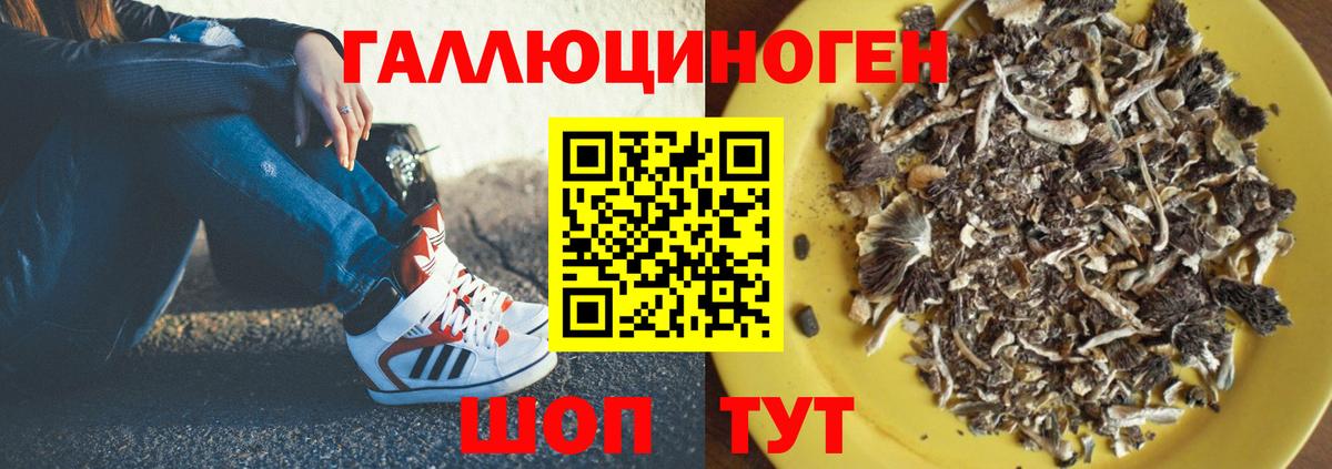 Усть-Джегута  Галлюциногенные грибы мухоморы  Вход с VPN 